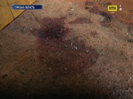 Двойное убийство бензопилой на Сумщине