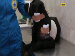 В Кривом Роге собаку наказали за травмы ребенка