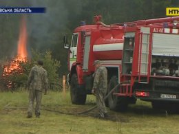 На Київщині провели навчання з ліквідації лісових пожеж та горіння торфовищ