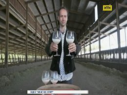 Уникальный дегустатор молока живет в Голландии