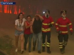 В Португалии находят уцелевших во время лесных пожаров