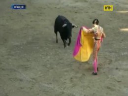 Корида у Франції стала смертельною для матадора