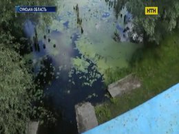 На Сумщині виникла загроза зараження сибирською виразкою