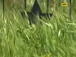 В Донецкой области распахали братскую могилу жертв Холокоста