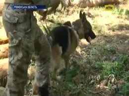 В Рвенской области продолжаются поиски заблудившейся женщины, полиция просит помощи неравнодушных