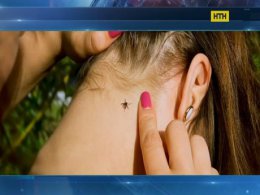 Кліщовий Лайм-борреліоз знайшов жертву у Запоріжжі
