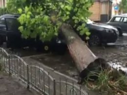 Непогода на Херсонщине: поваленные деревья, разбитые машины и тринадцать населенных пунктов без света