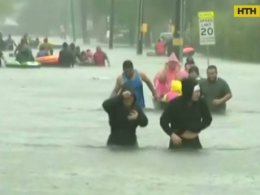 По улицам бродят крокодилы и плавают коровы - Техас страдает от урагана Харви