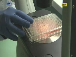 Українцям загрожує новий штам грипу
