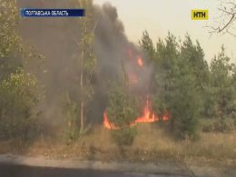 На Полтавщині палають ліси