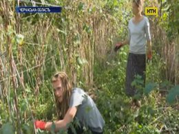 Дауншифтинг - возможность обменять городскую суету на сельский покой