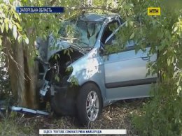 На Запорожье погибла женщина-водитель, пытаясь не сбить собаку