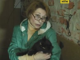 Соседские войны: пенсионерка поселила в однокомнатной квартире десятки кошек и собак