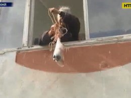 80-летней женщине, которую сын закрыл к квартире, продукты передают с помощью веревки