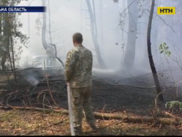 Другу добу поспіль вогнеборці гасять лісову пожежу на Чернігівщині