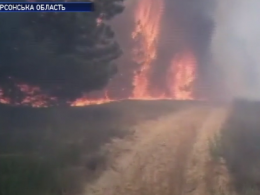 Авиация и спасатели продолжают бороться с масштабным пожаром на Херсонщине