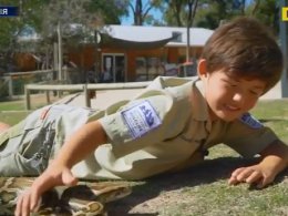 8-летний ребенок из Австралии работает с рептилиями тех пор, как начал ходить