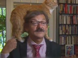 Кіт ледь не зірвав важливе інтерв'ю в Польщі