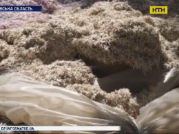 Десятки миллионов испорченных гривен нашли под Днепром