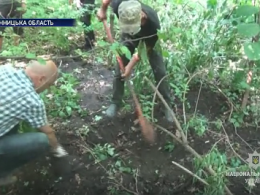 На Вінниччині троє молодиків забили свого товариша