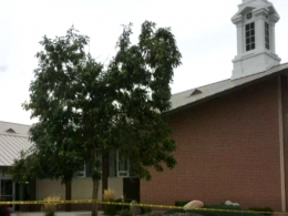 В США мужчина открыл огонь в мормонской церкви
