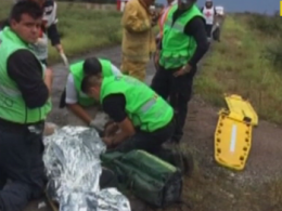 В авиакатастрофе в Мексике выжили все, кто был на борту самолета