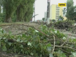 Через негоду 118 населених пунктів на Західній Україні залишились без електрики