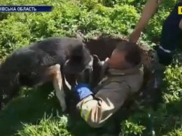 На Львівщині люди врятували великого пса, що впав до криниці