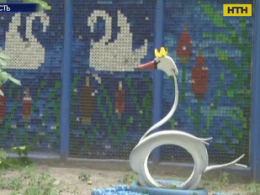 Уникальную мозаику из крышечек на заборе выложила жительница Кременчуга