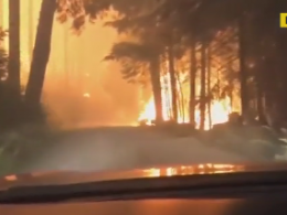 Отец с сыном попали в эпицентр лесного пожара в США