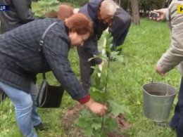 У Вінниці з'явилася Алея ветеранів на території музею Пирогова