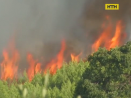 В Лиссабоне горит национальный парк: идет эвакуация туристов