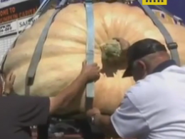 Американський фермер виростив гарбуз, який важить майже тонну