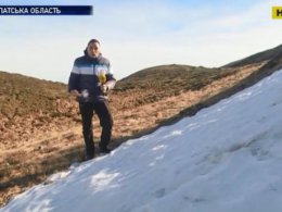 Нынешняя зима будет аномально теплой: под угрозой туристический сезон в Карпатах