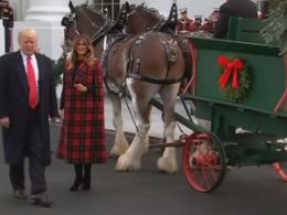 В Белый дом привезли новогоднюю елку