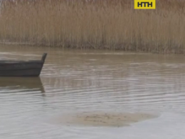 Найглибше в Україні озеро Світязь почало міліти