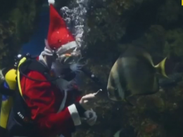 Санта-Клаус залез в аквариум кормить рыбок на Мальте