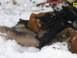 На Львовщине маленькая девочка погибла во время пожара