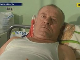 У Бердянську 3 людей опинилися в лікарні після нападу вовчиці