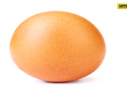 Куриное яйцо собрало 32 миллиона лайков в Инстаграм