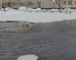 Аварія на водогоні в Сумах: холодна вода гейзером била з-під землі
