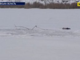 На Миколаївщині через тонкий лід у крижаній воді опинилося 3 людей