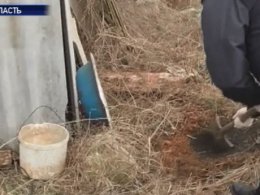 В Одесской области мать закопала младенца в огороде