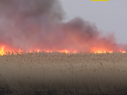 Під Одесою в Нижньодністровському заповіднику сталася масштабна пожежа