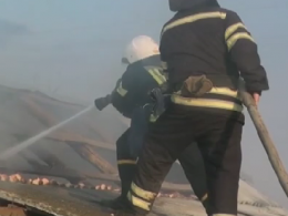 На Николаевщине во время пожара задохнулся 4-летний мальчик
