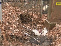 Мертвого ребенка нашли на кладбище в Харькове