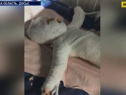 В Одесской области в больнице скончался мальчик, который упал в ведро с кипятком