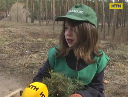 На Полтавщині щороку збільшують площі лісів