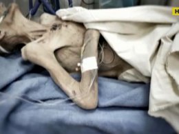 У Дніпрі страшною смертю померла пенсіонерка, яку до жахливого стану довів син