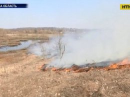 На Сумщині 81-річна пенсіонерка згоріла на власному подвір'ї живцем